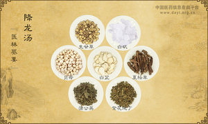 降龙汤