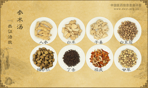 参术汤《类证治裁》
