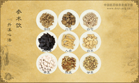 参术饮《丹溪心法》卷五