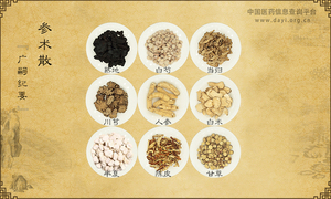 参术散《广嗣纪要》卷十三