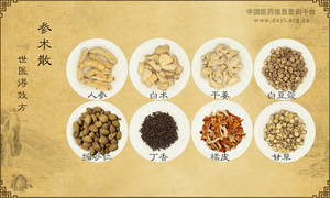 参术散《世医得效方》