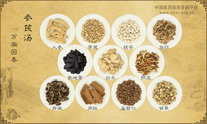 参芪汤《万病回春》