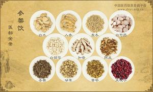 参薷饮