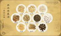 参术半夏汤