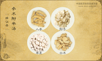 参术附半汤
