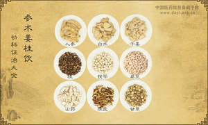 参术姜桂饮