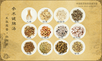 参术健脾汤