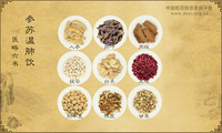 参苏温肺饮