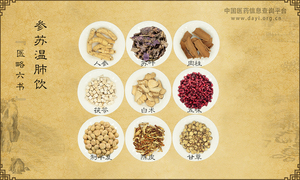 参苏温肺饮