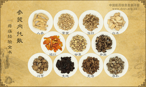 参芪内托散《疮疡经验全书》