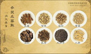 参芪瓜蒌散