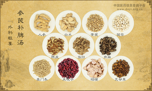 参芪补脾汤