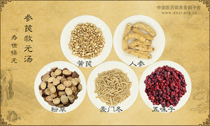 参芪救元汤