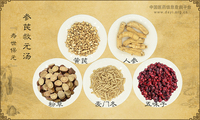 参芪救元汤