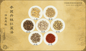 参芪丹桂红蓝汤