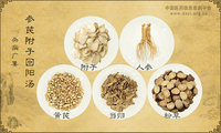 参芪附子回阳汤