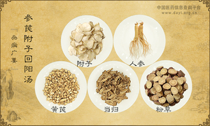 参芪附子回阳汤