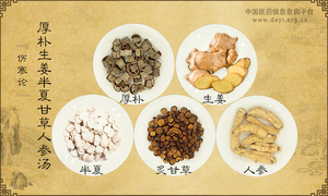 厚朴生姜半夏甘草人参汤
