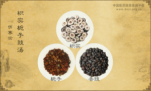枳实栀子豉汤