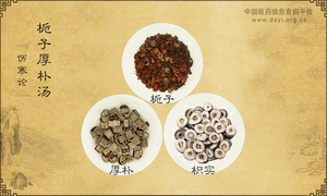 栀子厚朴汤《伤寒论》