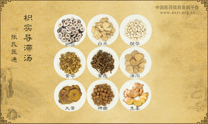 枳实导滞汤