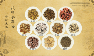 茯苓渗湿汤《杏苑生春》
