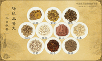 除热三黄丸《外台秘要》