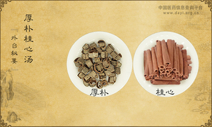 厚朴桂心汤