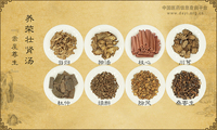 养荣壮肾汤《嵩崖尊生》