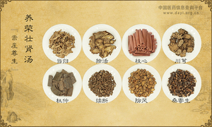 养荣壮肾汤《嵩崖尊生》