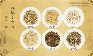 姜桂苓参汤