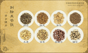荆防五苓饮《穷乡便方》