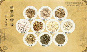 除邪清肺汤《会约医镜》