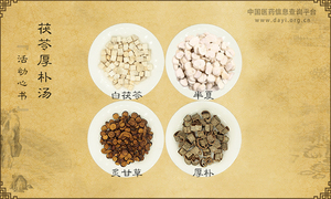 茯苓厚朴汤