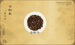 香附散《普济方》