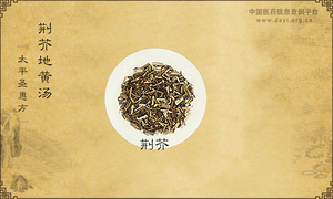 荆芥地黄汤《太平圣惠方》