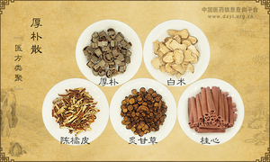 厚朴散《医方类聚》