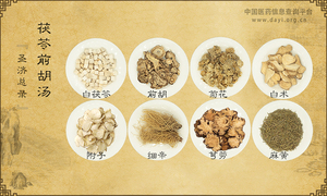 茯苓前胡汤《圣济总录》卷一六二