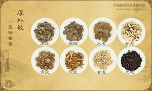 厚朴散《医宗金鉴》