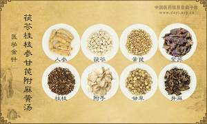 茯苓桂枝参甘芪附麻黄汤