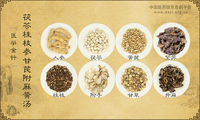 茯苓桂枝参甘芪附麻黄汤