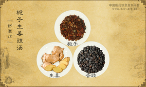 栀子生姜豉汤《伤寒论》