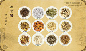 除湿汤《眼科纂要》
