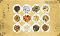 除湿汤《眼科纂要》