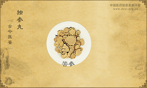 独参丸《古今医鉴》