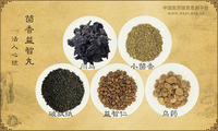茴香益智丸