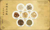 茴楝五苓散