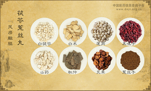 茯苓菟丝丸