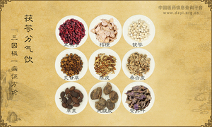 茯苓分气饮