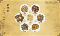 前胡散《云岐子保命集》